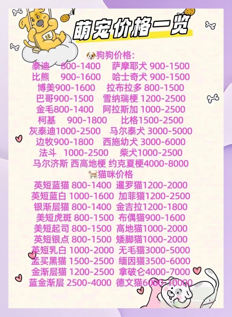 宠物美容师哪里可以学习？这个问题困扰了不少爱宠人士。今天，我们就来一起探讨一下。