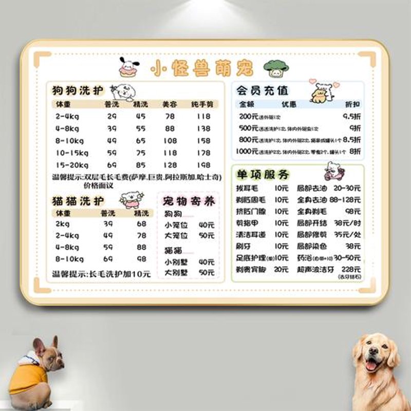一张照片，让我从疑虑到安心的寄养体验
