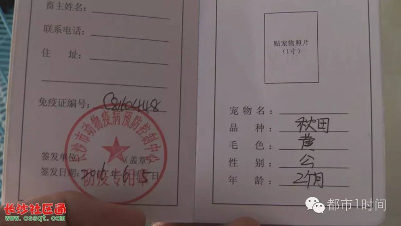 你是否梦想成为一名专业的宠物美容师?想要了解如何成为宠物美容师,却又不知从何开始?这篇文章将为你提供详细的学习路径和建议。