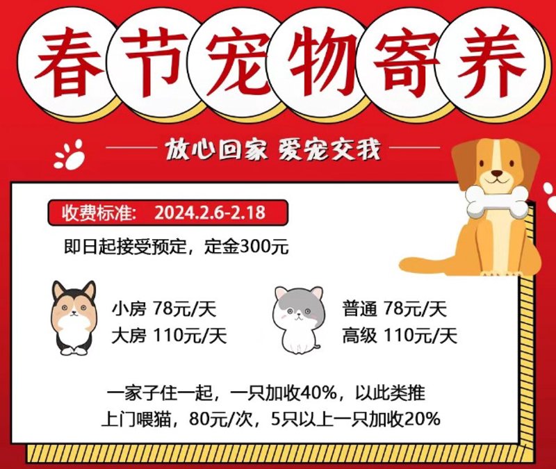 一张照片，如何让我的寄养体验从担忧变安心