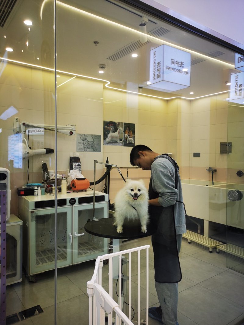 宠物用品店能否挣钱？听听小老板怎么说！