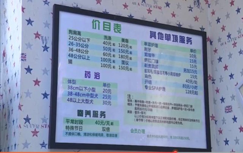 宠物美容师去哪里学？这不仅是新手宠物主人关心的问题，也是希望投身宠物美容行业的朋友们需要解答的困惑。今天，我们就一起看看如何成为一名专业的宠物美容师。