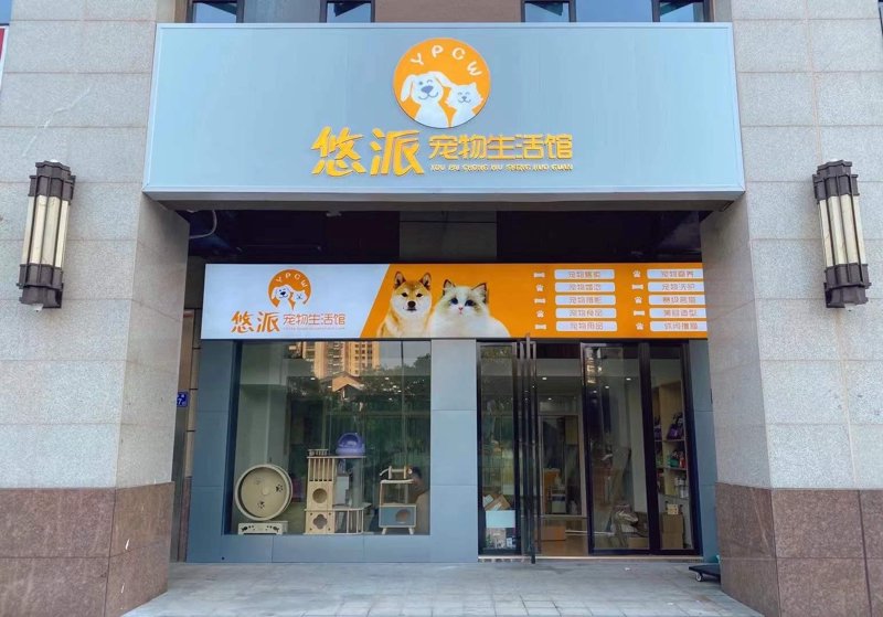 宠物店装修效果图：一位长沙店主的“踩坑”与“真香”实战复盘