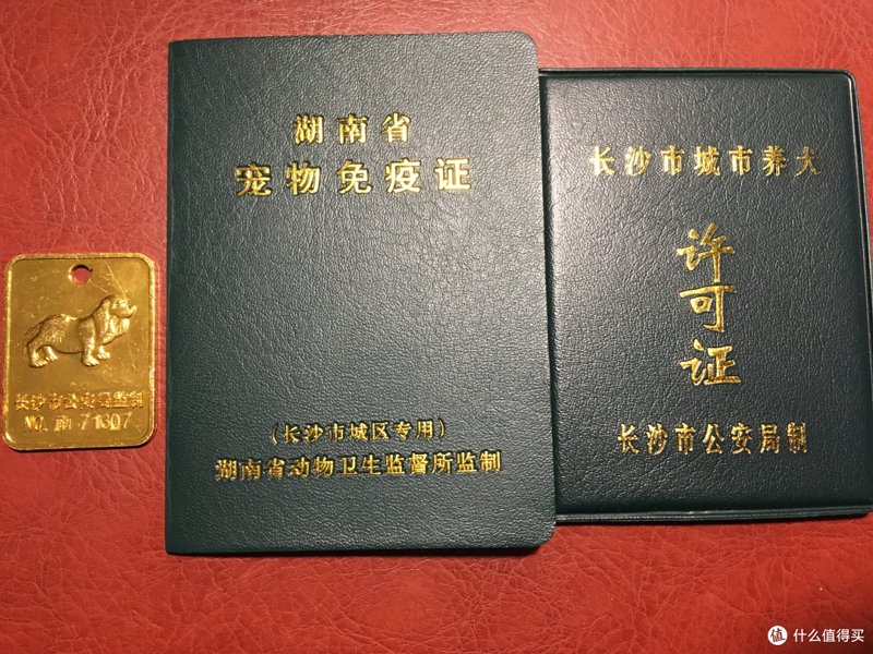 宠物食品展会：2026年的盛宴